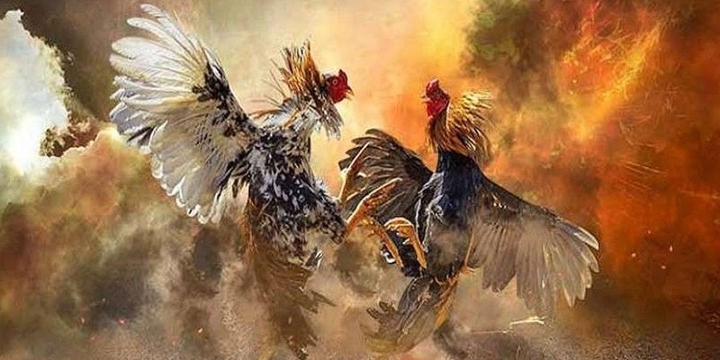 Chiến kê bỏ chạy
